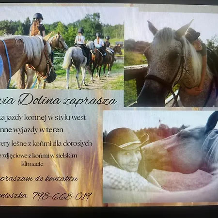 Hubertówka Murowany * Porost