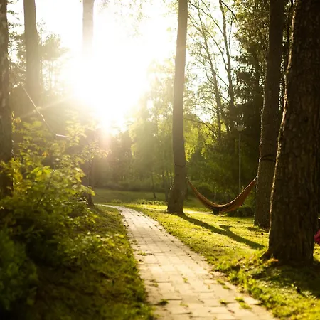 Hubertówka Murowany Dom wakacyjny Porost