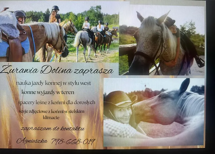 Hubertówka Murowany * Porost